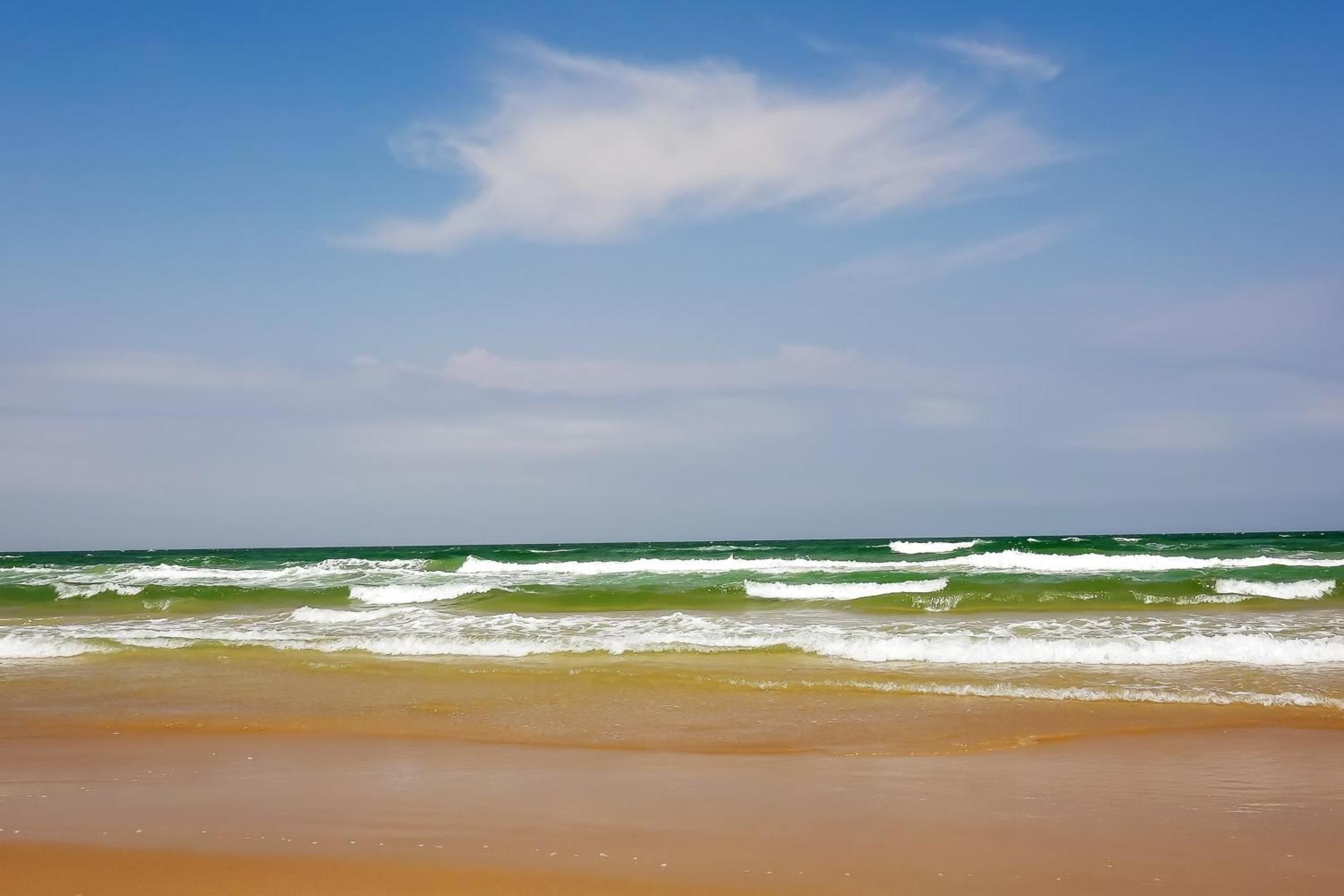 Surfside Condos เซาท์ปาเดรไอส์แลนด์ ห้อง รูปภาพ